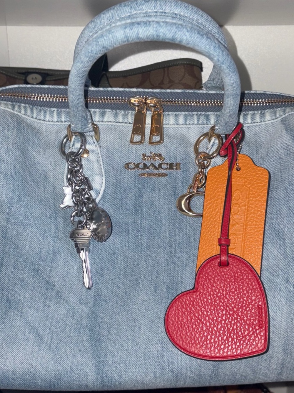 Coach Rowan - Large Loved Denim